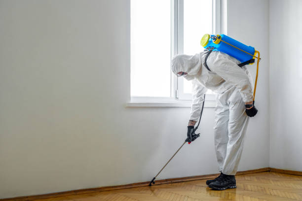 Best Pest Control Cost  in Debary, FL