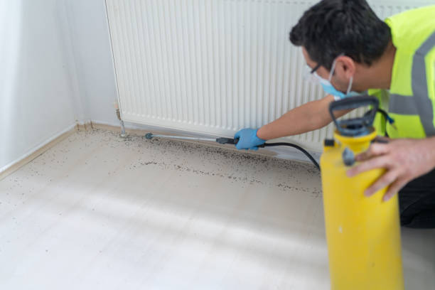 Best Pest Control Cost  in Debary, FL